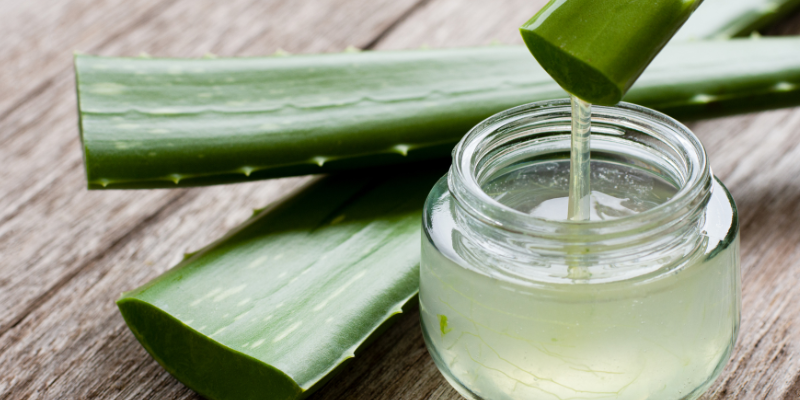 آلوئه ورا برای دانه های قرمز پوستی