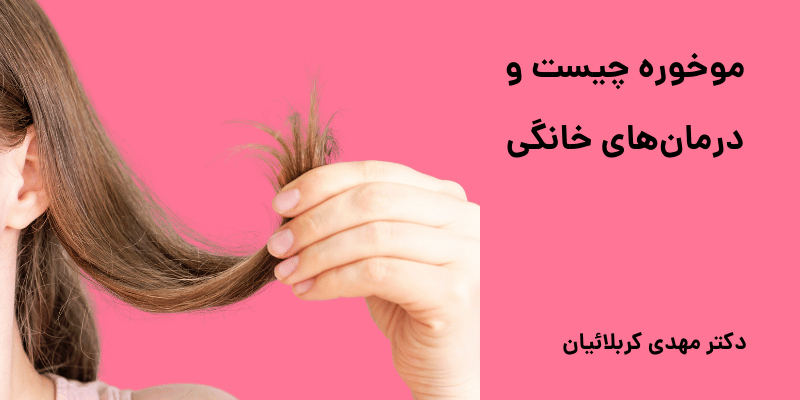 موخوره چیست