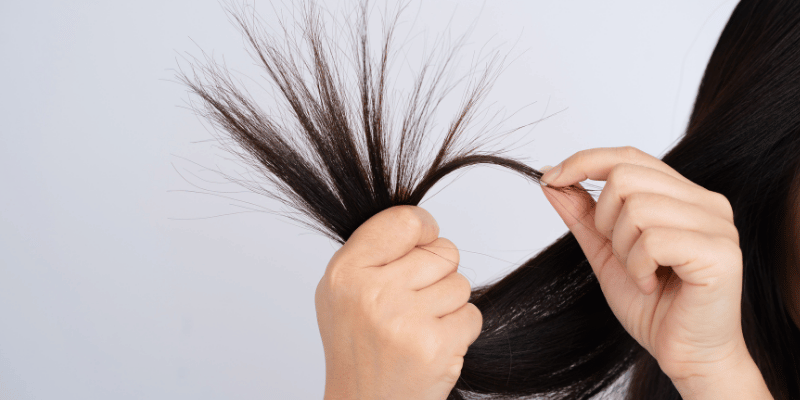 موخوره چیست و چگونه به وجود می‌آید؟